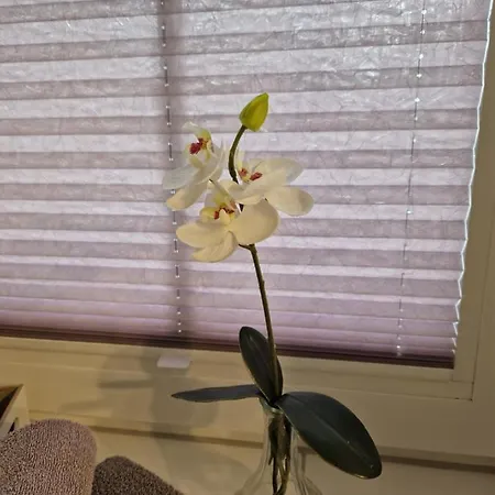 Appartement Gaestequartier Schlummerkasten